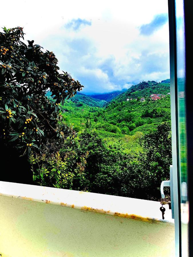 Five Stars Apart Aparthotel Trabzon Kültér fotó